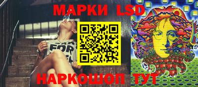 трава Гатчина