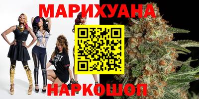 трава Гатчина
